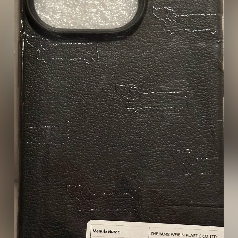 NEW Dachshund iPhone 16Pro Case